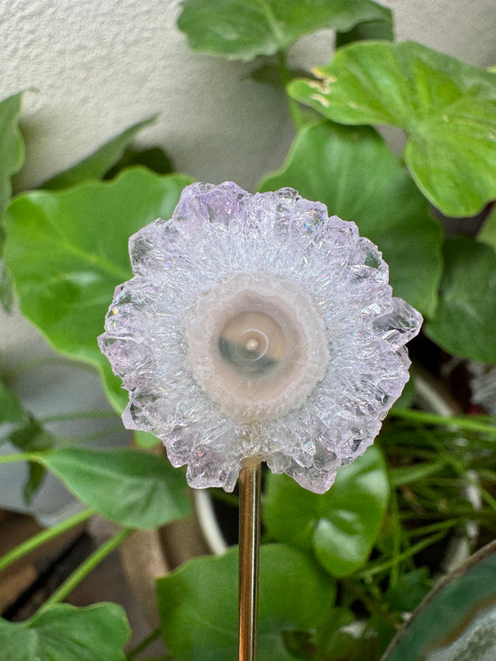 4/14 Mini Amethyst Flower