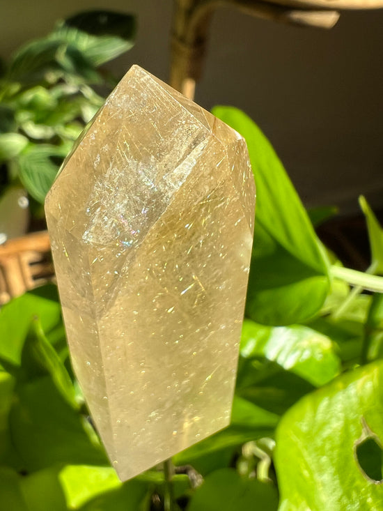 Zodiac Gold Rutile Quartz Plant Crystal