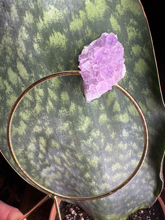 Amethyst Trellis