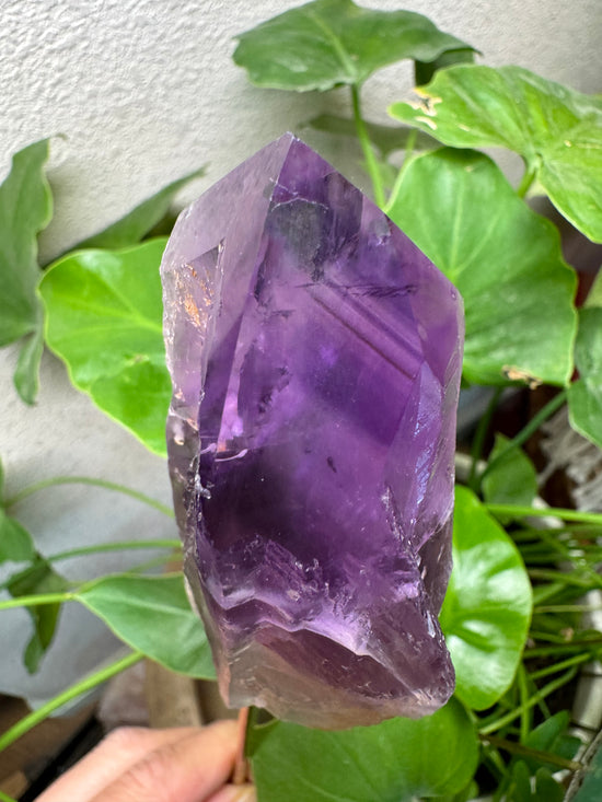 Amethyst Phantom