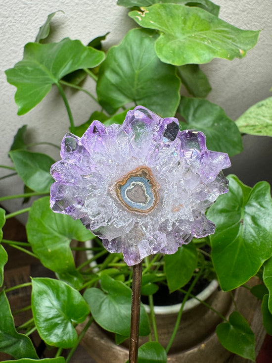 4/18 Amethyst Flower