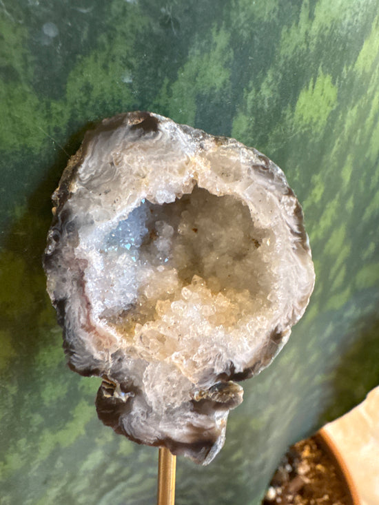 4/20 Agate Geode - Trellis Winner