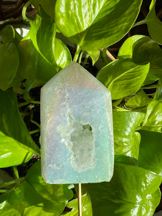 Angel Aura Drusy Tower with Portal Plant Crystal