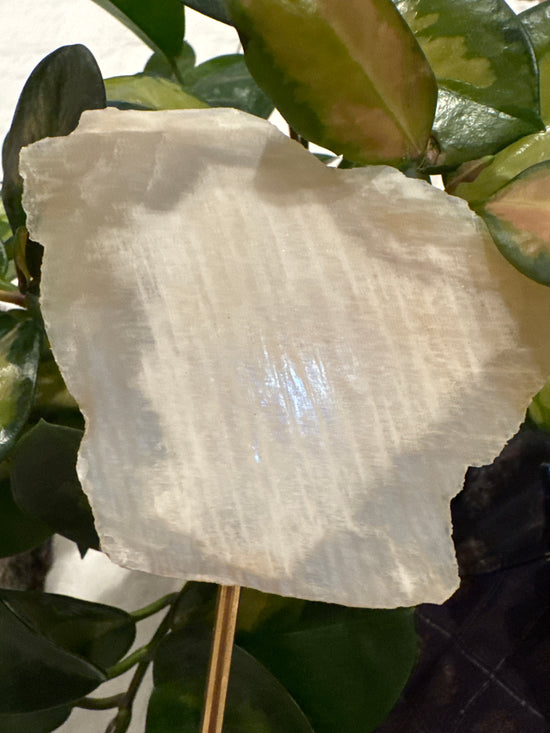 4/13 Moonstone