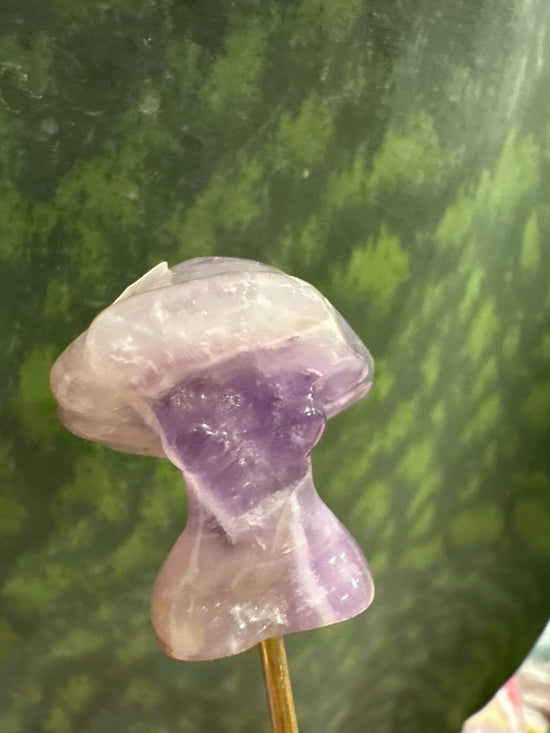 5/4 Mini Mushy Goddess