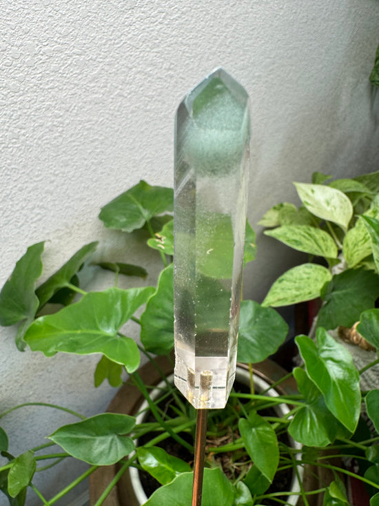 4/7 Chlorite Phantom Quartz