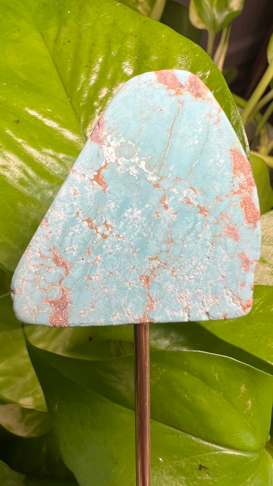 Navajo Turquoise Plant Crystal