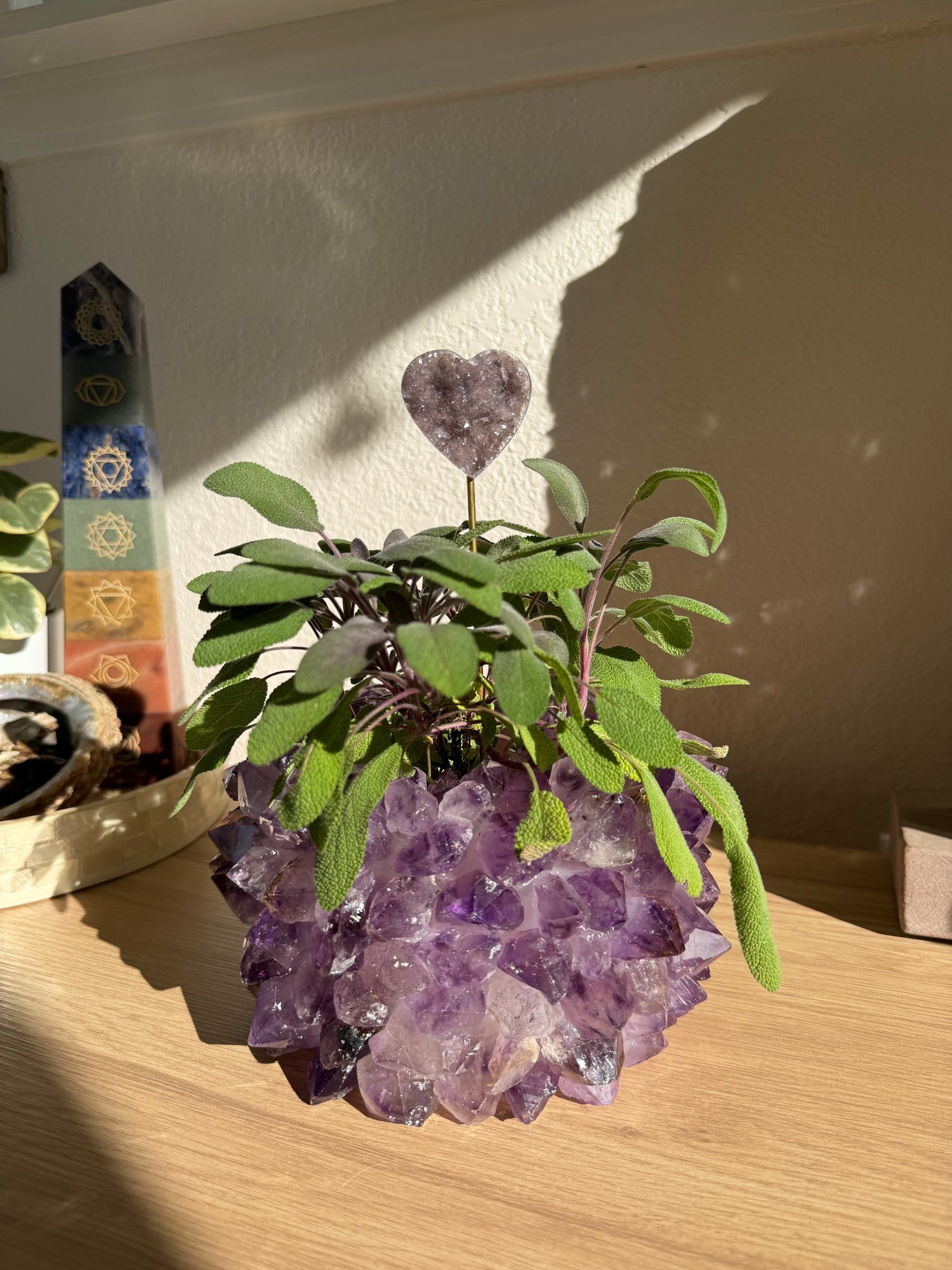 crystal plant pot Crystal Planter Pot - Amethyst