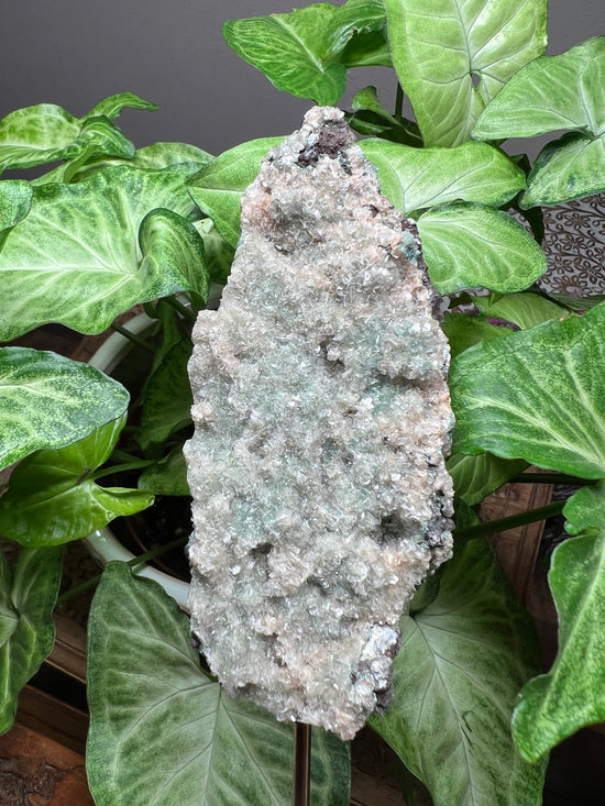 8/20 Green Apophylite Plant Crystal