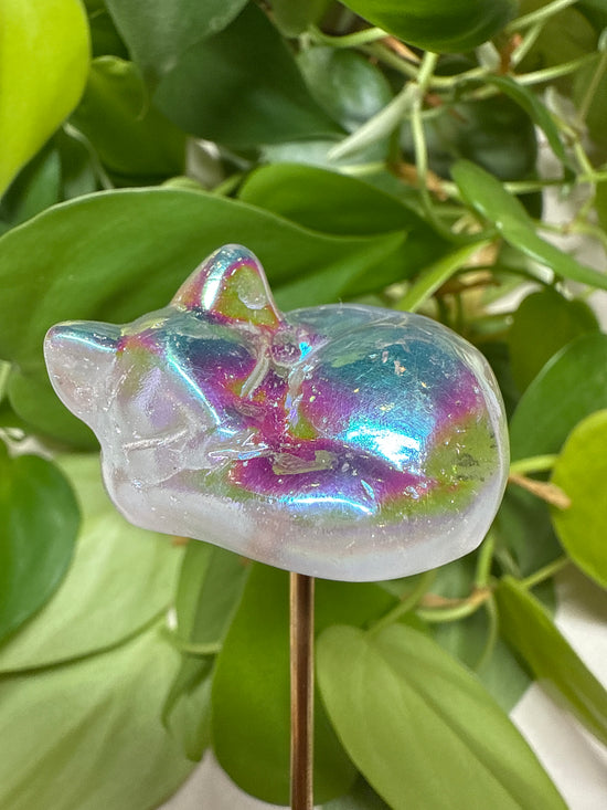 Aura Quartz Kitty
