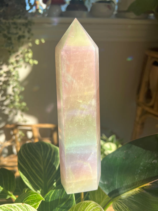 PREMIUM Large Angel Aura Rose Quartz Tower Plant Crystal