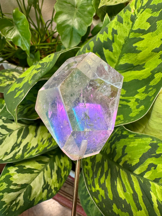 6/2 Angel Aura Freeform