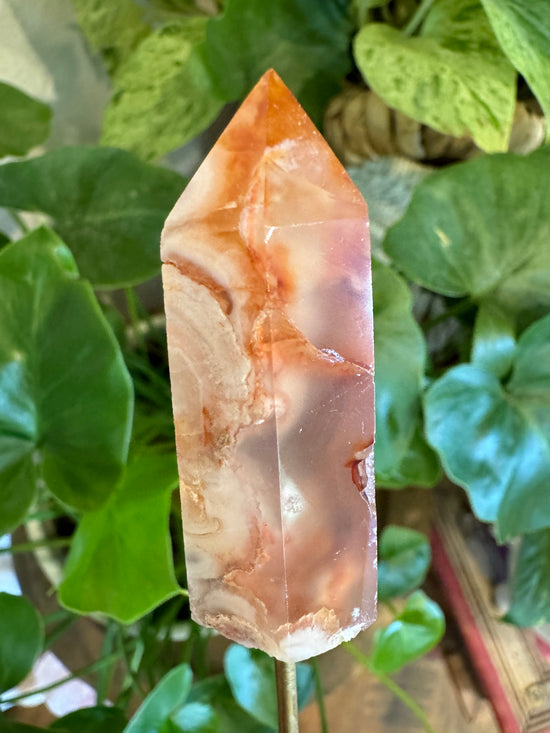 5/5 Orange Flower Agate