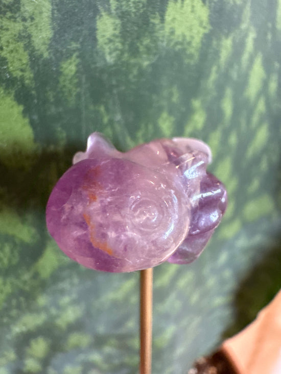 3/7 Mini fluorite Oxolottle