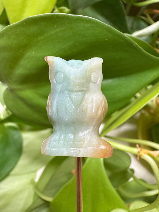 Wise Amazonite Owl Plant Crystal
