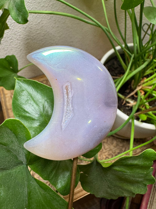 8/4 Angel Aura Moon