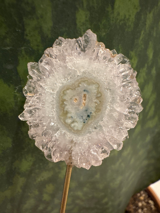 3/30 Flower Amethyst