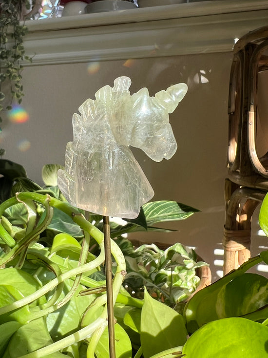 Kiwi Fluorite Unicorn Plant Crystal