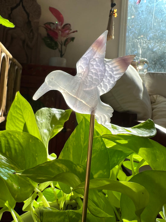 Fluorite Hummingbird Plant Crystal