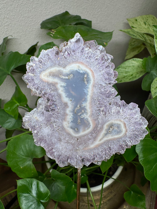 4/21 Large Flower Amethyst