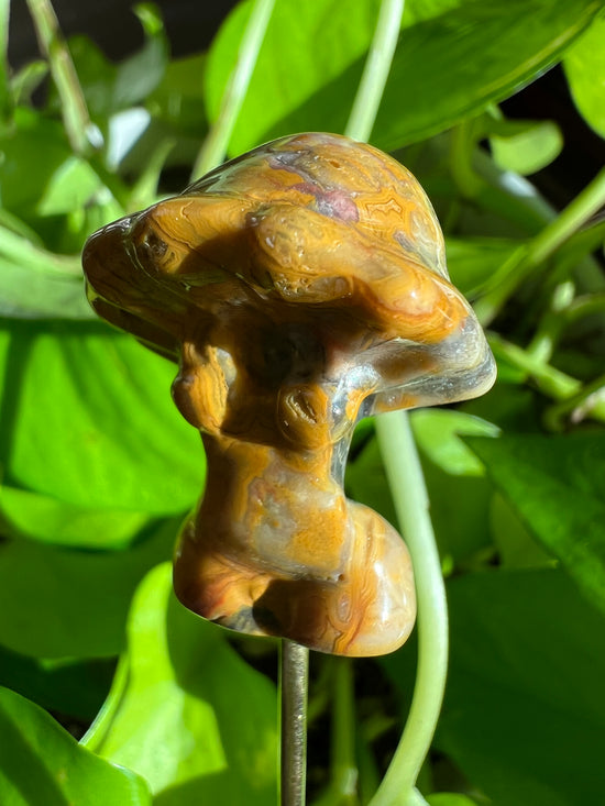 Turmeric Girl Banded Agate  Mushroom Goddess Plant Crystal