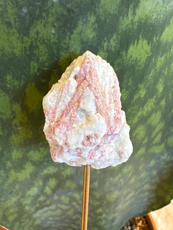 Lisa - 1PC + FREE Mini Mantra Santo