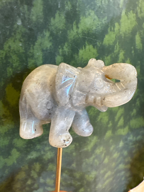 4/20 labradorite Elephant