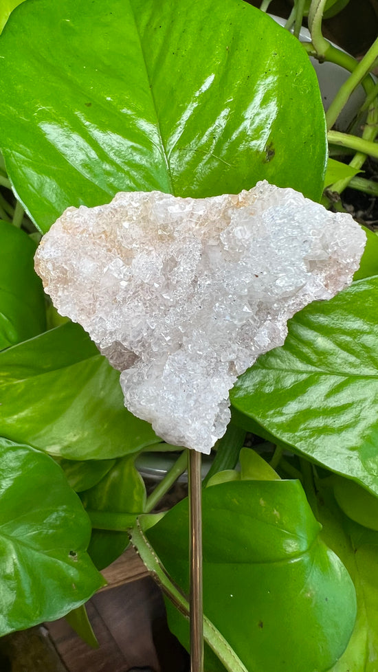 Spark of Magic Moroccan Geode Plant Crystal