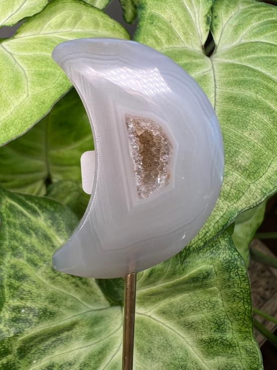 8/23 Agate Druzy Moon Plant Crystal