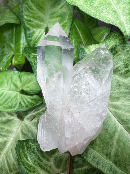 9/24 Clear Quartz Plant Crystal