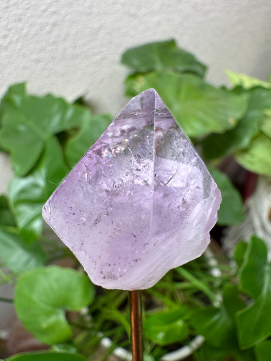 5/19 Amethyst Point