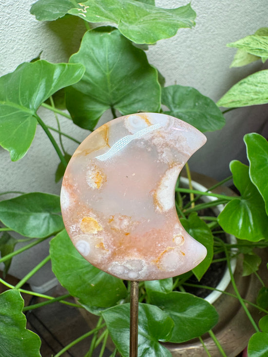 4/11 Flower Agate Moon