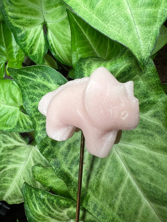 9/24 Pink Opal Dino Plant Crystal