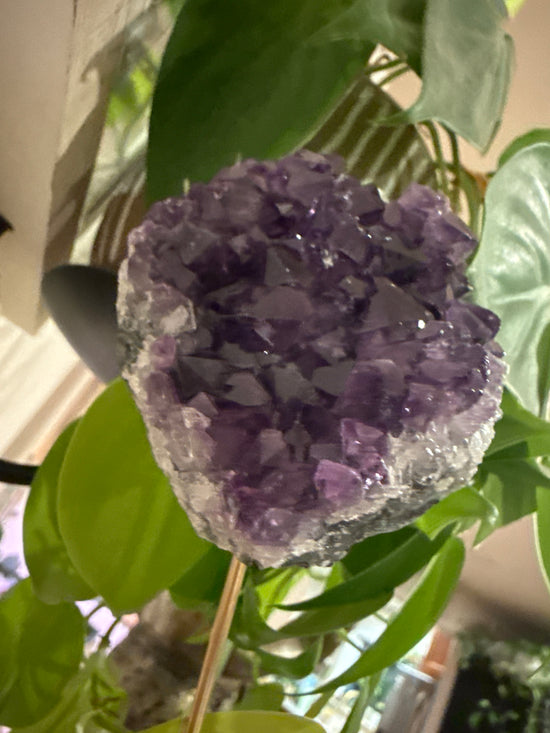 MG Deep Amethyst Uruguay