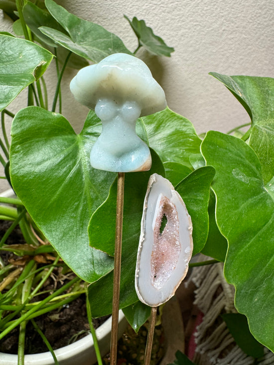 6/23 Amazonite Mini Mushroom Goddess