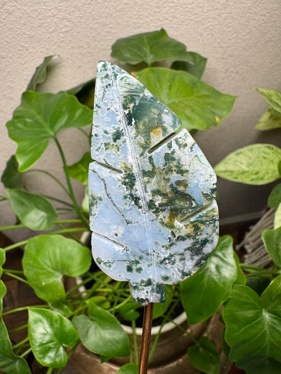 4/18 Moss Agate Leaf