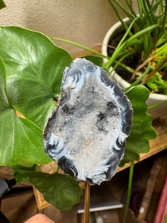 8/4 Agate Geode