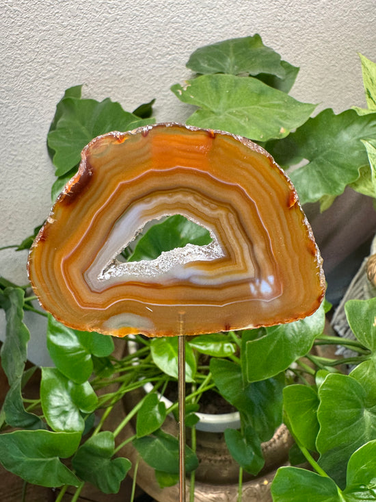 5/16 Golden Banded Agate