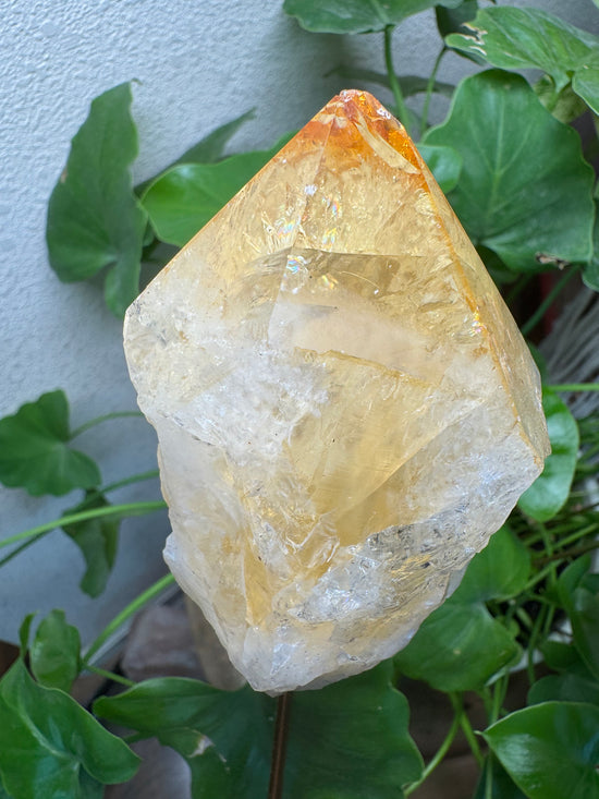 4/14 Citrine on long stem