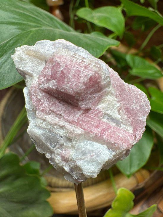 Jennifer - Pink Tourmaline