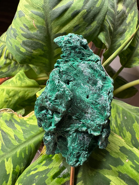 8/16 Malachite