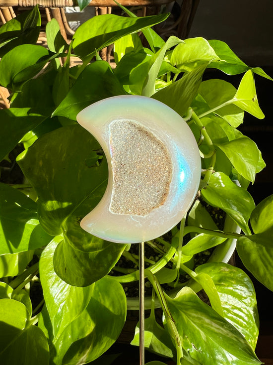 Chandra Angel Aura Moon with drusy Plant Crystal