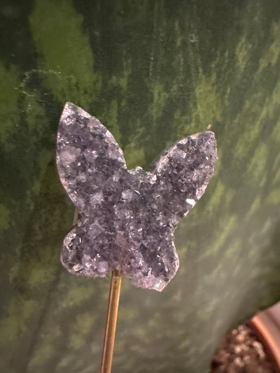 3/30 Mini Butterfly