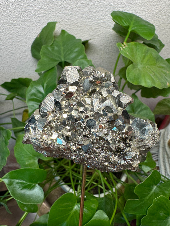 5/26 Pyrite