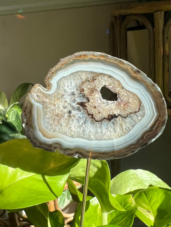 Earth Chi Agate Plant Crystal