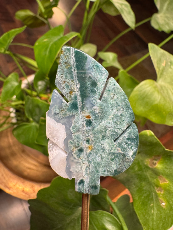 8/29 Moss Agate Leaf