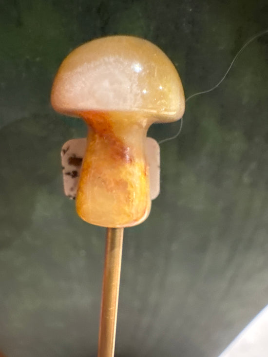 3/7 Mini Mushy