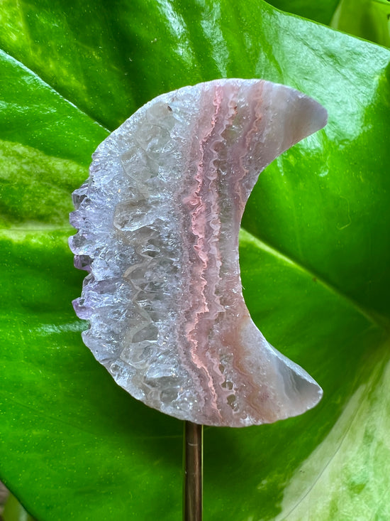 Mini Pink Amethyst Moon Plant Crystal