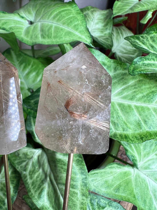 8/27 Gold Rutilated Quartz Plant Crystal