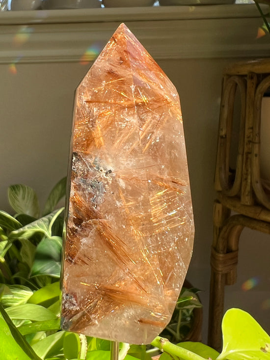 Universe Large Gold Rutile Quartz Plant Crystal